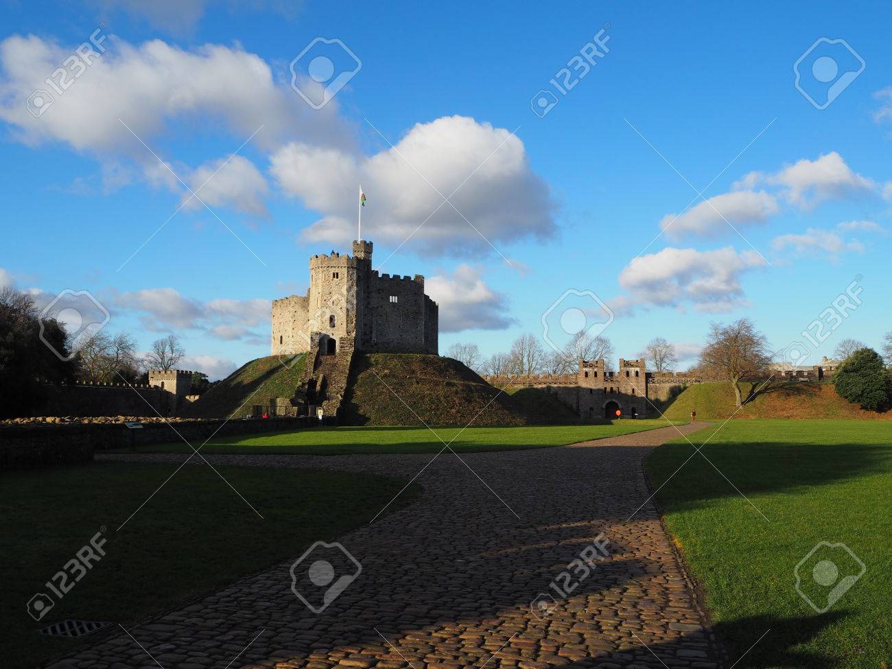 etiam-dictum-ipsum-a-felis