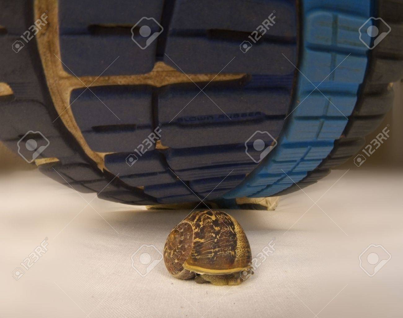 Snail Crush