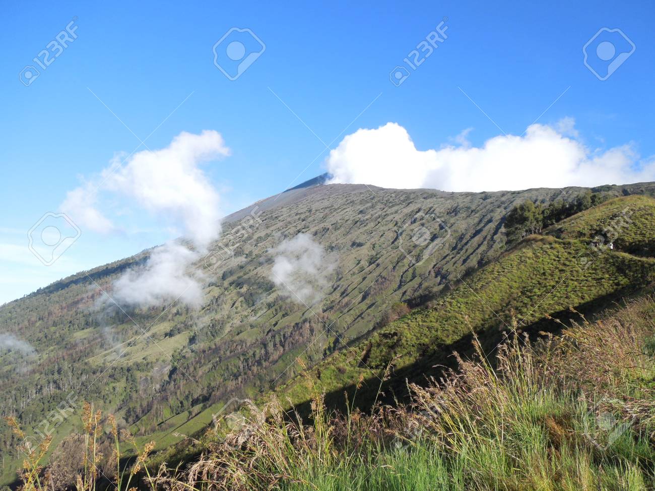 etiam-dictum-ipsum-a-felis