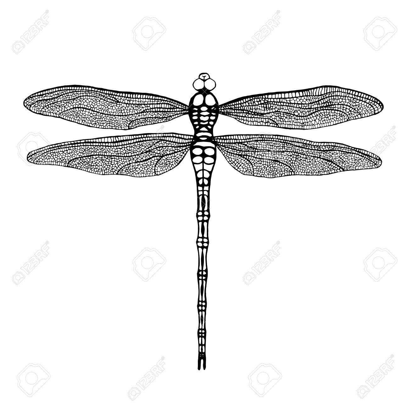 トンボ 白い背景の黒いトンボは 手には ベクトルのイトトンボが描画されます のイラスト素材 ベクタ Image
