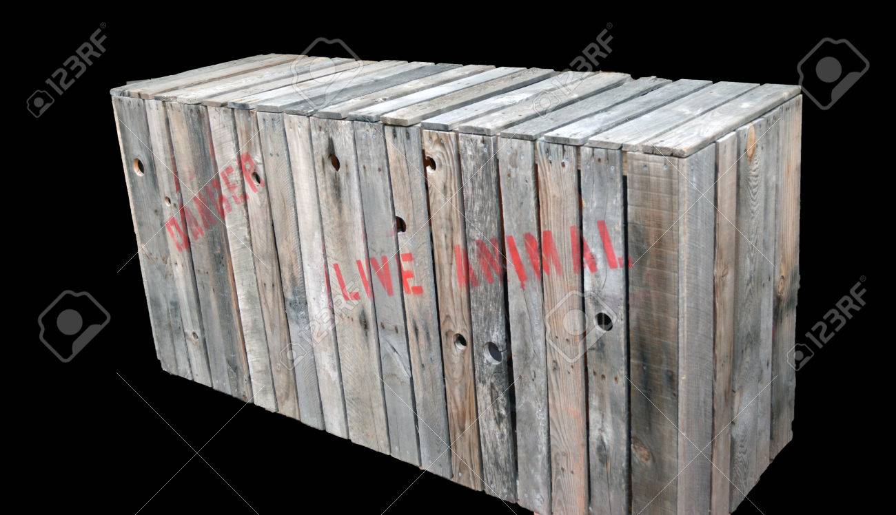 dog shipping crates