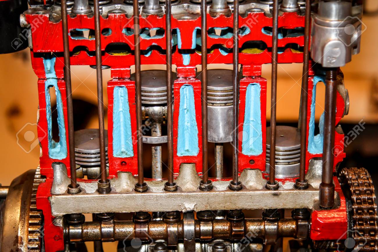 etiam-dictum-ipsum-a-felis