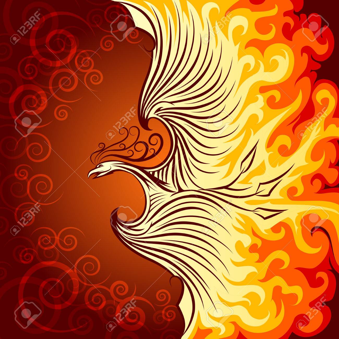 pheonix bird pictures