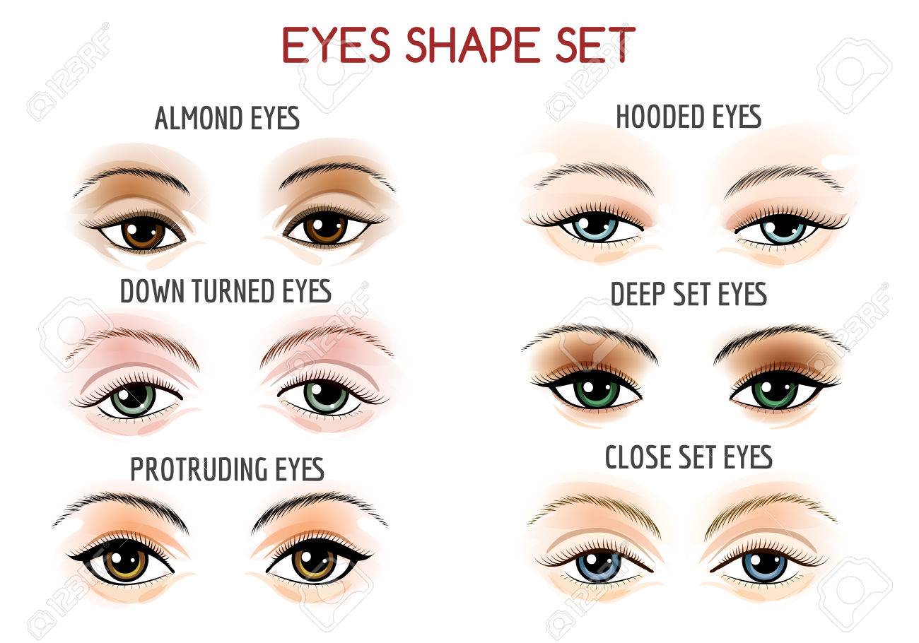 Set Of Eyes Shape Different Shapes Close Set Wide Set