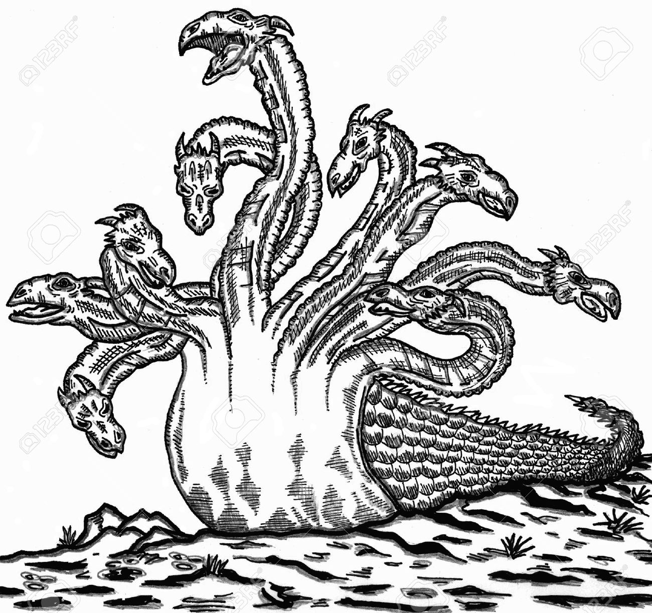 lernaean hydra drawings lernaean hydra drawings