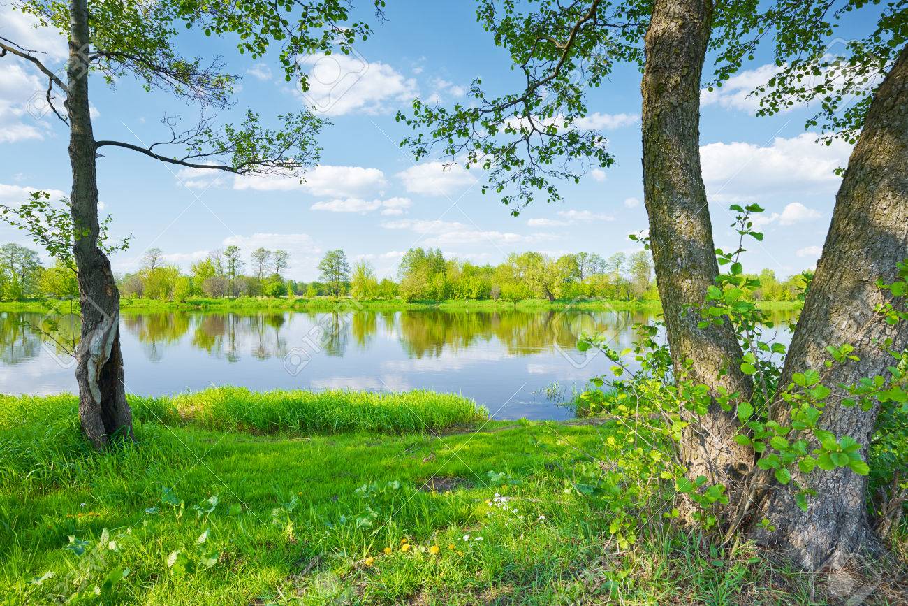 Trees By The Riverside Sunny Spring Landscape Stock Photo Picture And Royalty Free Image Image 27947629