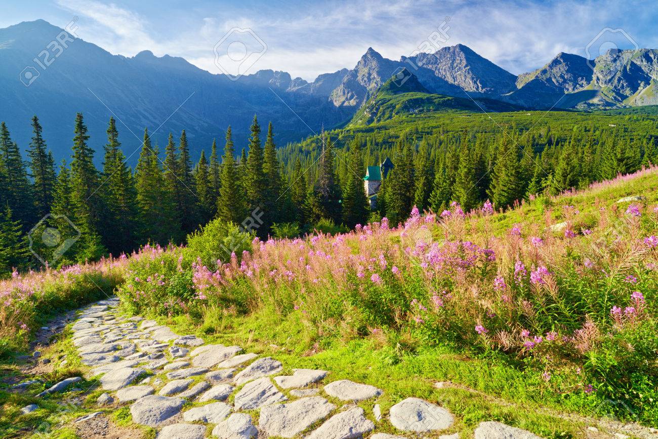 美しい自然の風景 Gasienicowa の谷の道高タトラ山脈 カルパティア山脈 ポーランド の写真素材 画像素材 Image 美しい自然の風景 Gasienicowa の谷の道高タトラ山脈 カルパティア山脈 ポーランド の写真素材 画像素材 Image