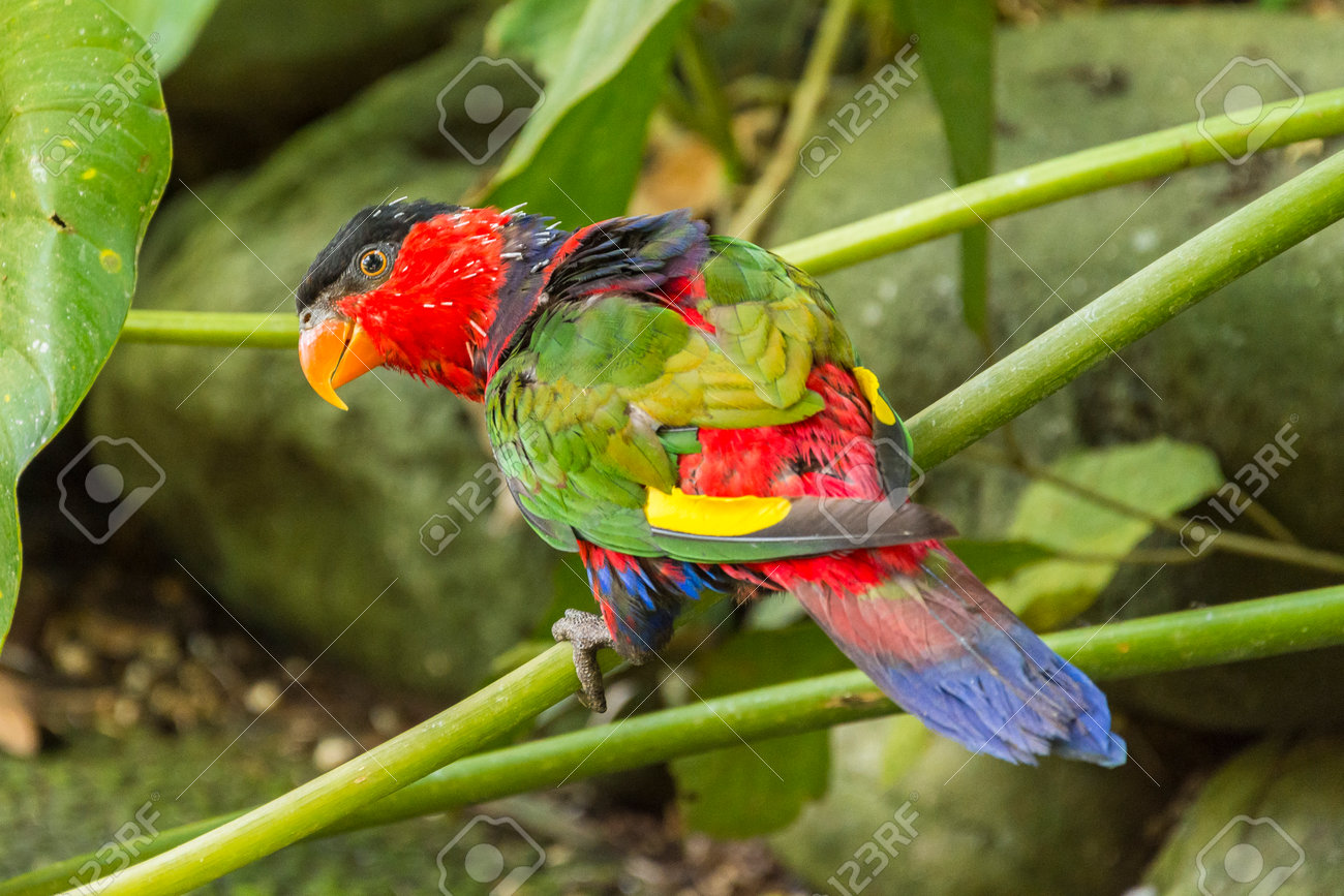 etiam-dictum-ipsum-a-felis