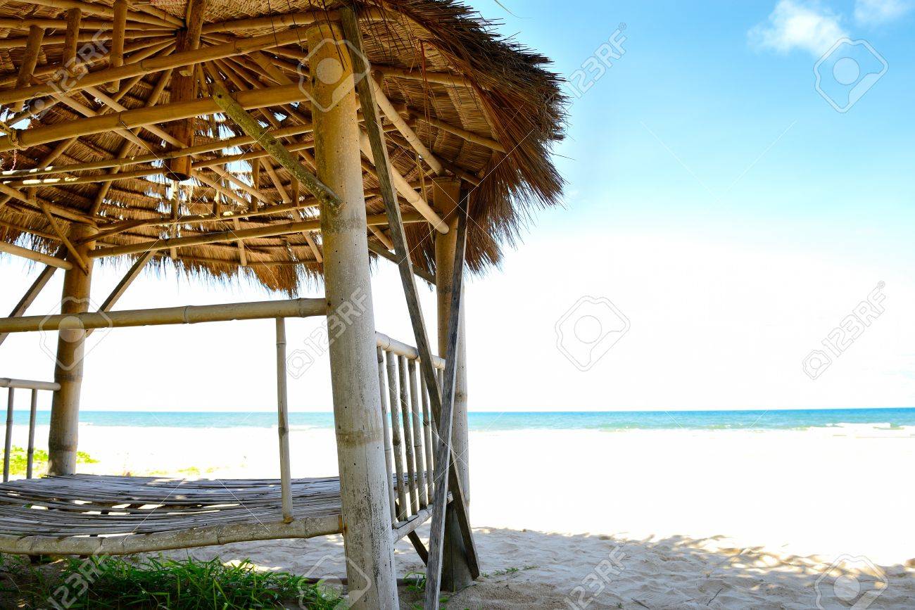 Thaïlande Retour De Petits Requins Dans La Baie De La Plage