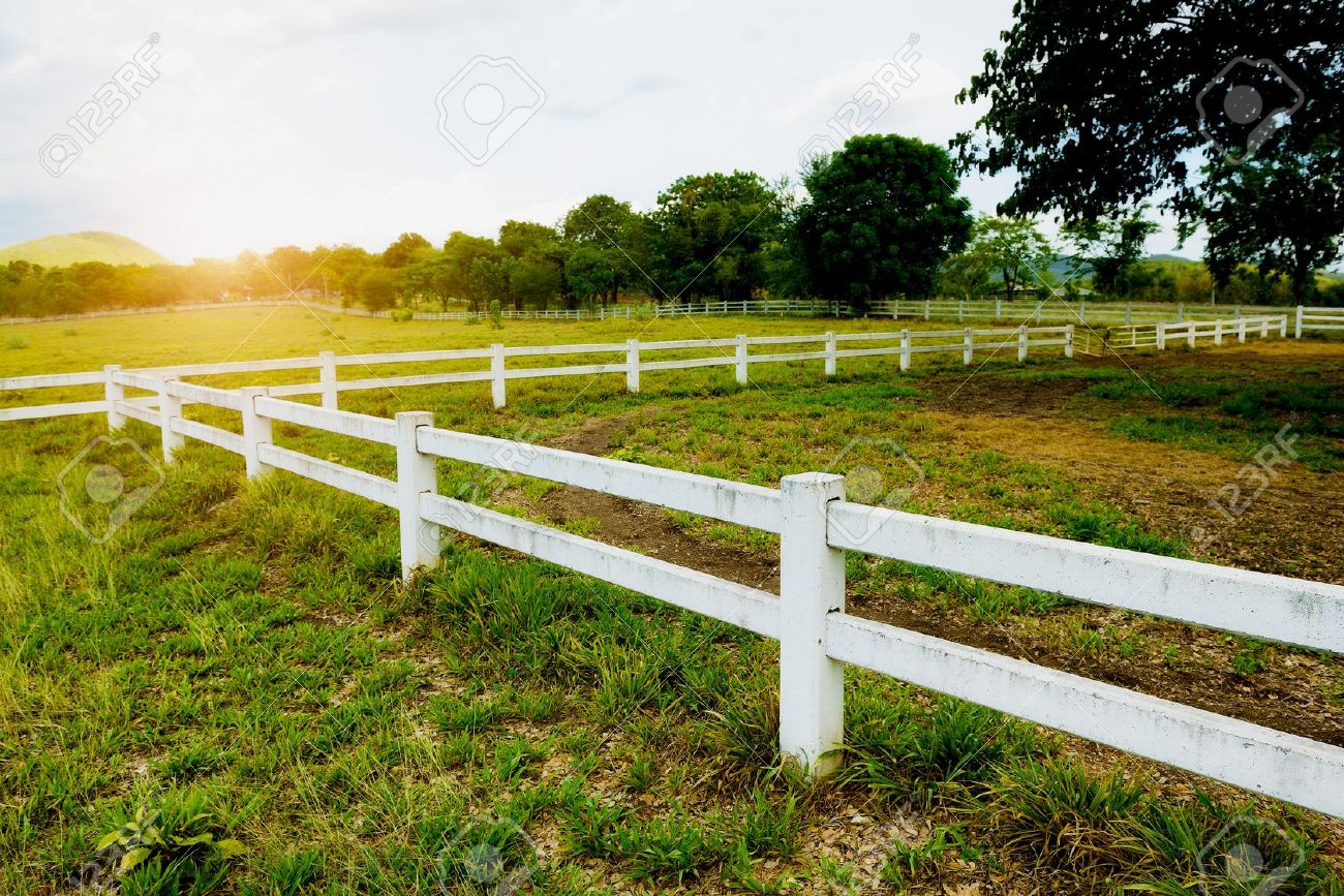 White Farm Fence White Farm Fence