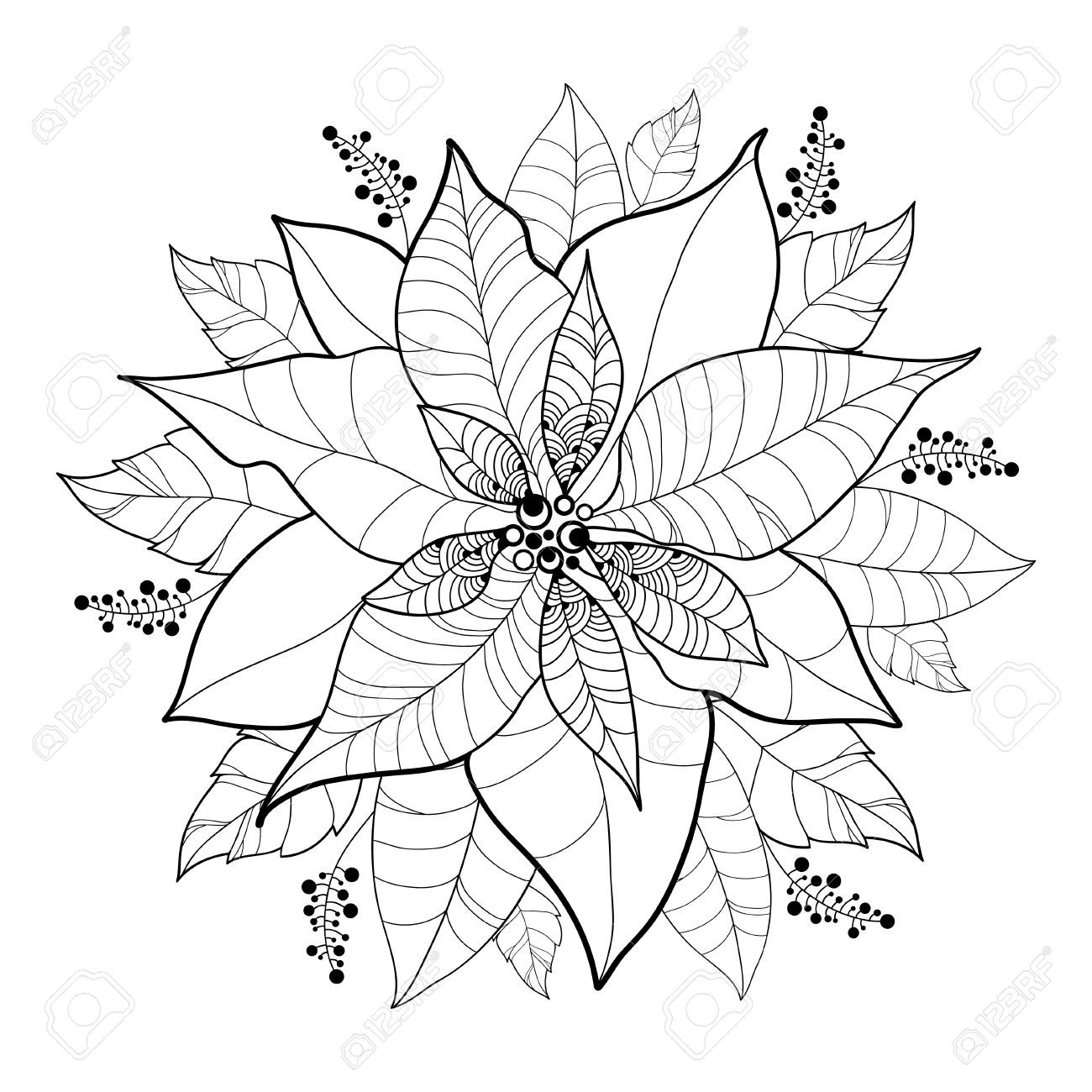 perfect estrellas de navidad para colorear e imprimir latest estrellas de navidad para colorear with colorear estrella de navidad - Estrellas De Navidad Para Colorear perfect estrellas de navidad para colorear e imprimir latest estrellas de navidad para colorear with colorear estrella de navidad - Estrellas De Navidad Para Colorear