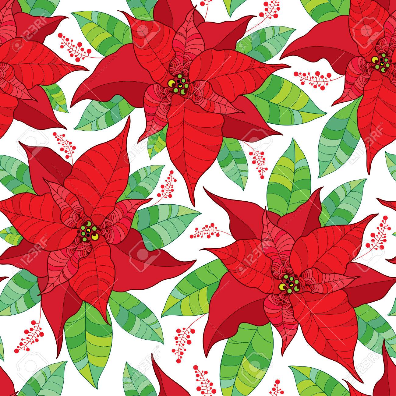 vector seamless pattern with contour poinsettia flower or christmas