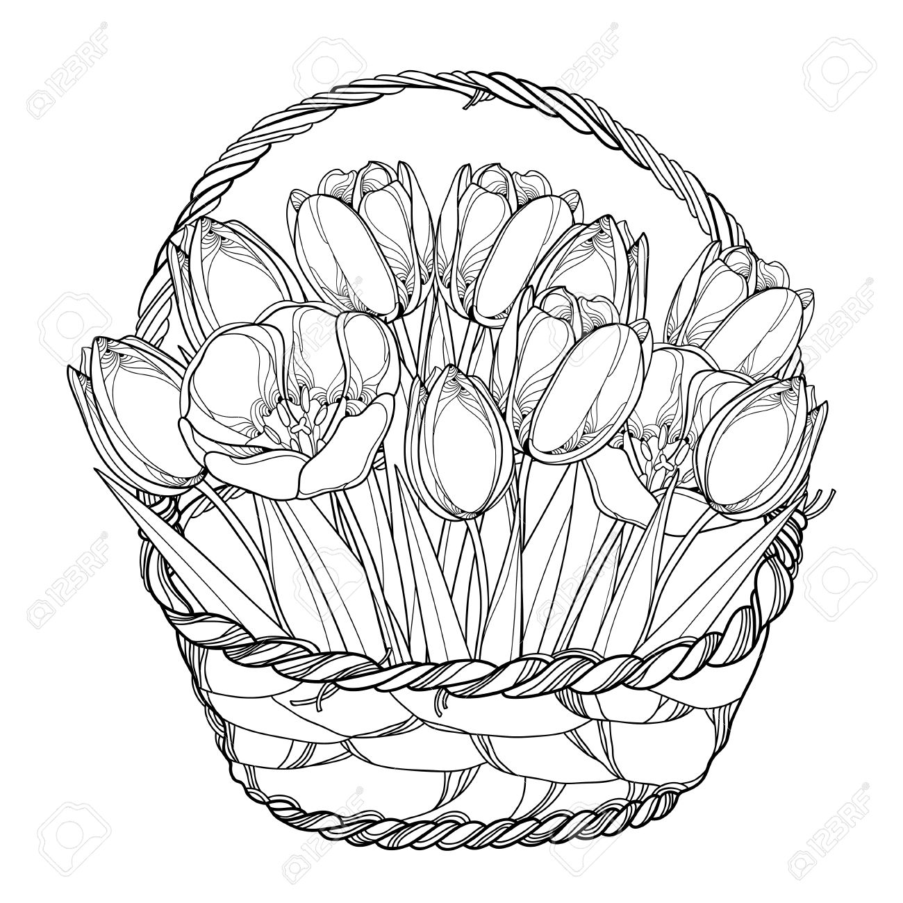 ベクトル アウトライン チューリップ花白で隔離バスケット ブーケ 春のデザイン グリーティング カード 招待状 塗り絵の華やかな花の要素 等高線スタイルでチューリップの花のバスケット のイラスト素材 ベクタ Image ベクトル アウトライン チューリップ花白で隔離バスケット ブーケ 春のデザイン グリーティング カード 招待状 塗り絵の華やかな花の要素 等高線スタイルでチューリップの花のバスケット のイラスト素材 ベクタ Image