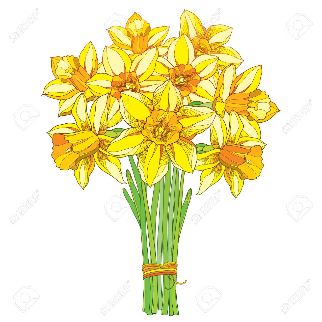 Bouquet De Vecteur Avec Contour Narcisse Jaune Ou Fleurs De Jonquille Isole Sur Blanc Element Floral Orne Pour La Conception De Printemps Carte De Voeux Invitation Bouquet De Fleur De Narcisse Dans