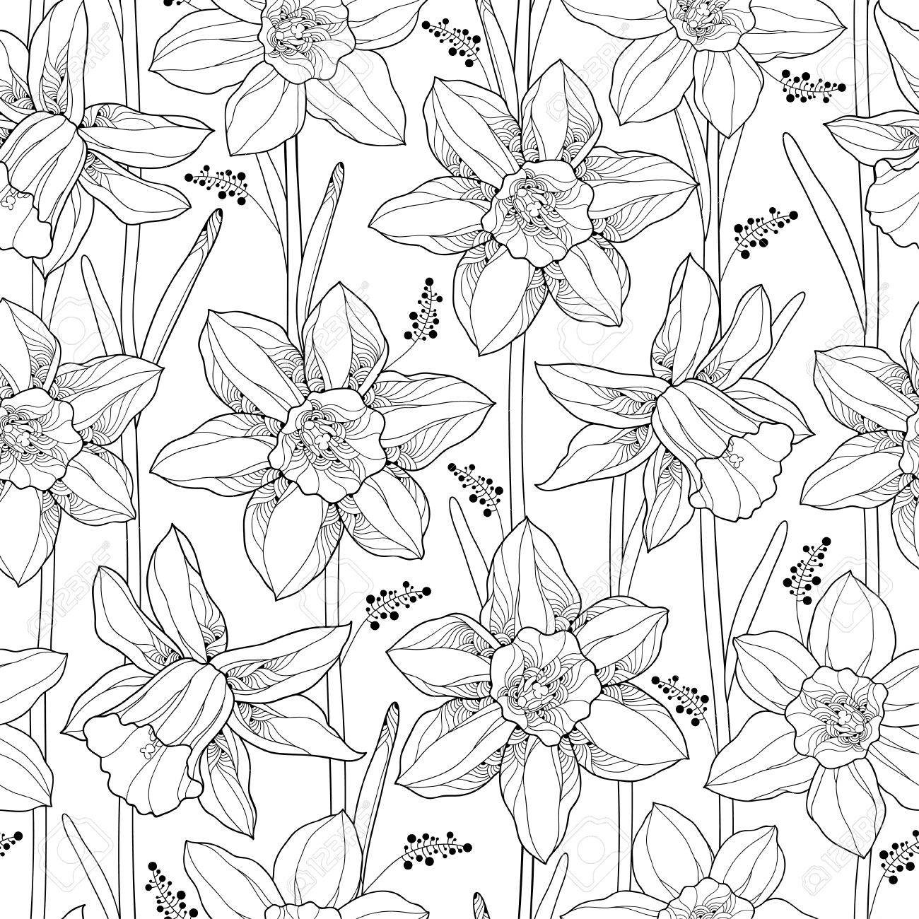 Vector Seamless Pattern With Outline Narcissus Or Daffodil Flower