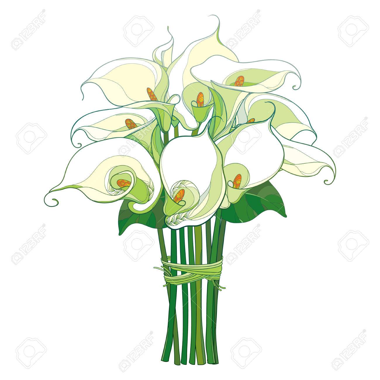 白い背景に分離されたパステル カラーの緑のオランダカイウユリ花とブーケを残します 夏デザインの招待状オランダカイウと輪郭のスタイルの花の要素 の イラスト素材 ベクタ Image