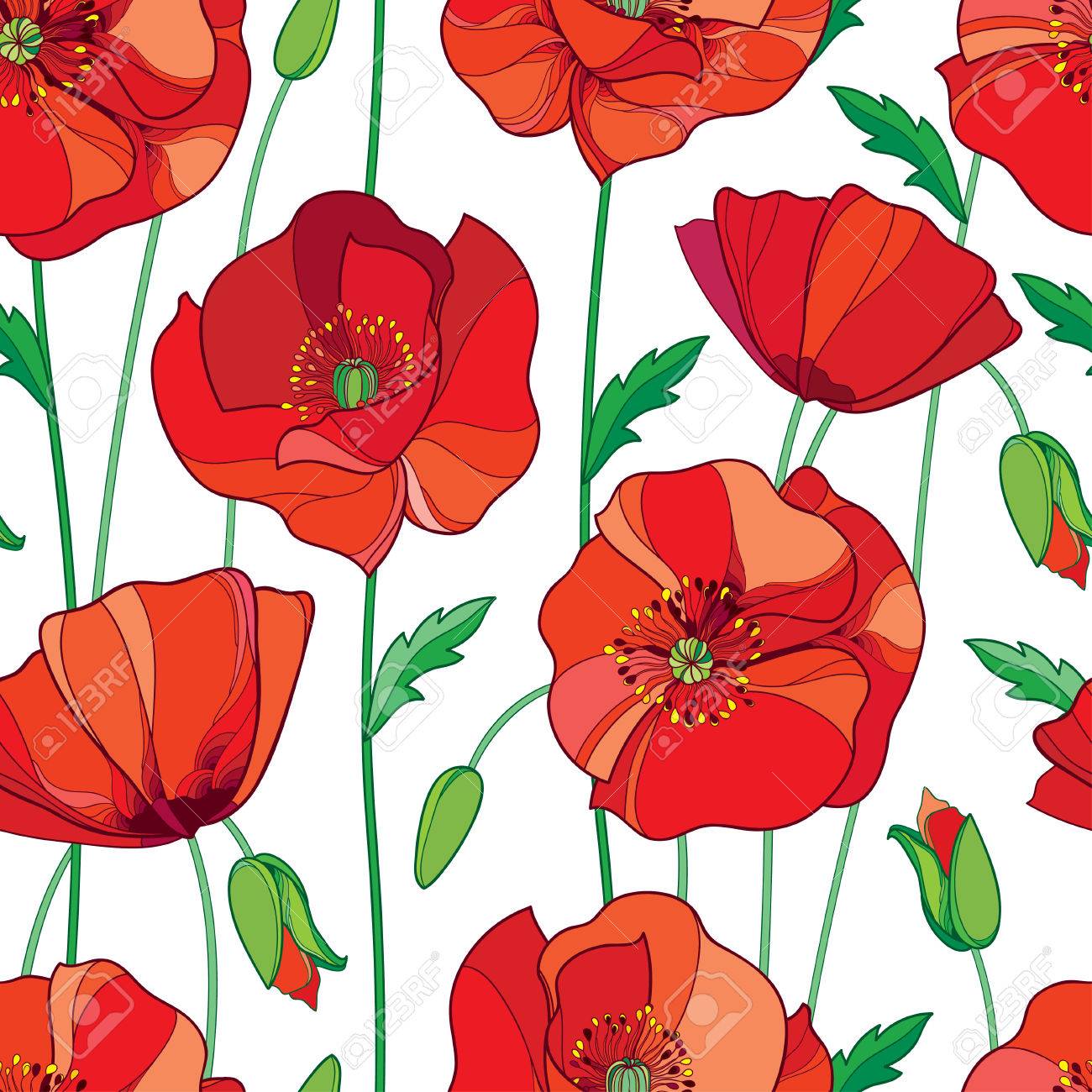 seamless pattern with outline red poppy flower bud and green
