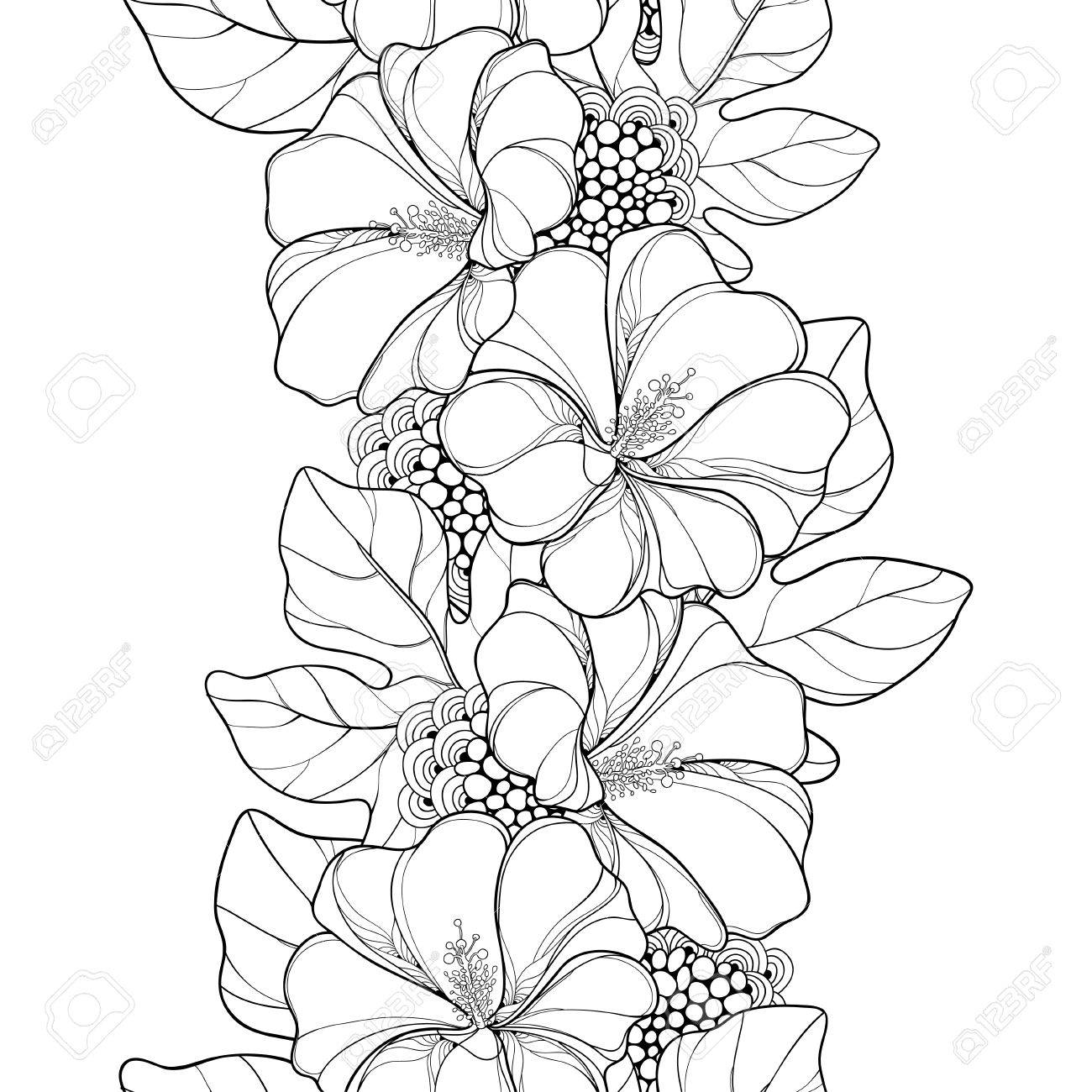 概要アレセア バラ色または葵花と白い背景の葉とのシームレスなパターン 夏デザインと塗り絵の華やかな葵と輪郭のスタイルの花柄 のイラスト素材 ベクタ Image