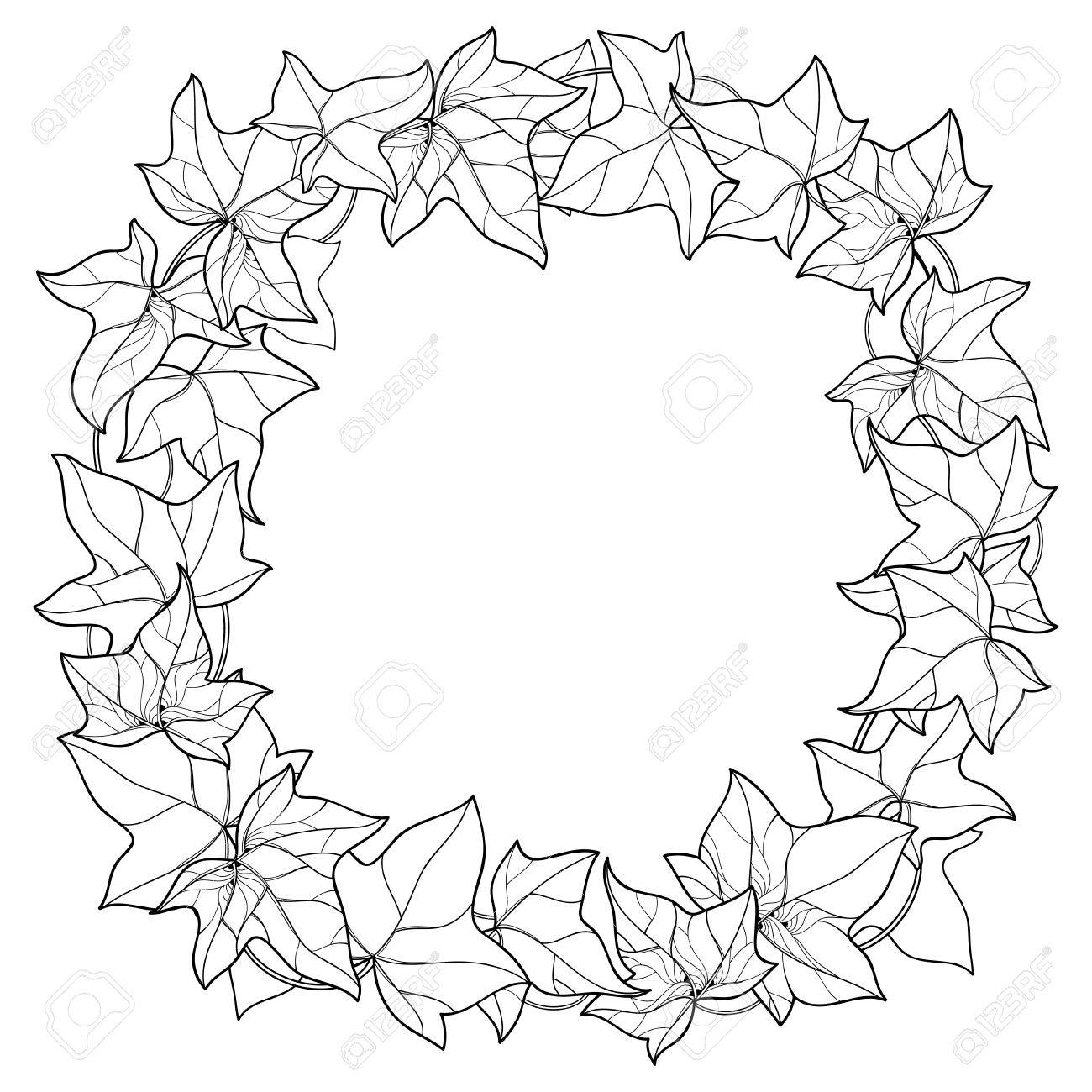 概要ツタやヘデラの葉と丸い花輪 華やかな葉と白い背景に分離された黒でつた 多年生よじ登り植物夏デザインの輪郭のスタイルで ぬり絵の本 のイラスト素材 ベクタ Image