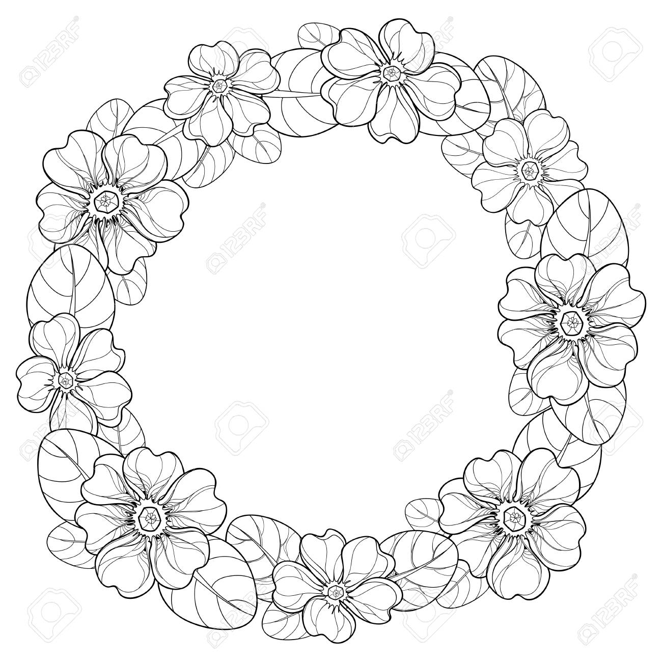 輪郭プリムラまたはプリムローズが白い背景に分離された丸い花輪 春のデザインと塗り絵のための輪郭スタイルで咲くプリムラとの構成 のイラスト素材 ベクタ Image 9212