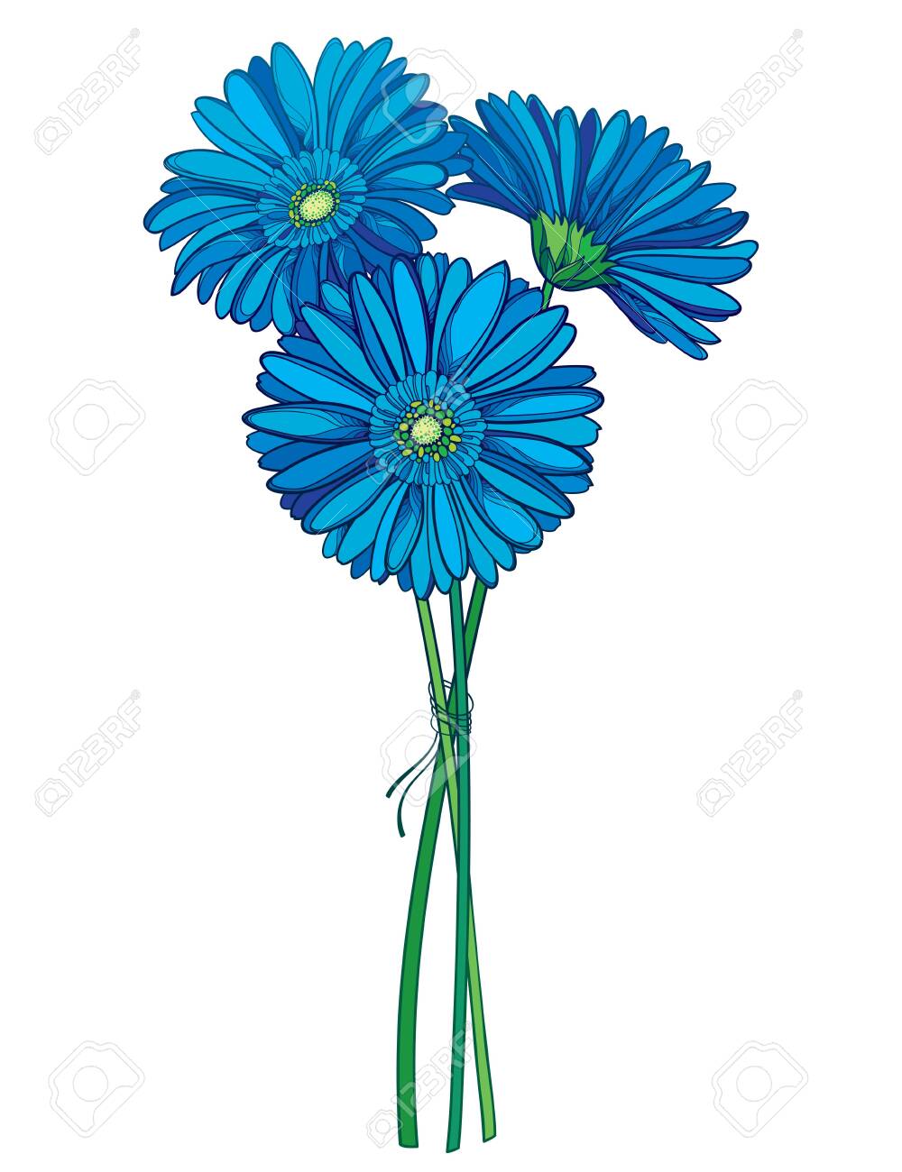 Bouquet Of Outline Blue Gerbera Flower Isolated. Royalty Free SVG,  Cliparts, Vectors, and Stock Illustration. Image 123581755., image size:1000x1300