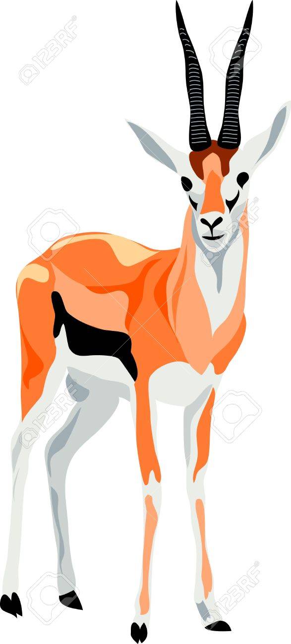 キーウェストのガゼル のイラスト素材 ベクタ Image