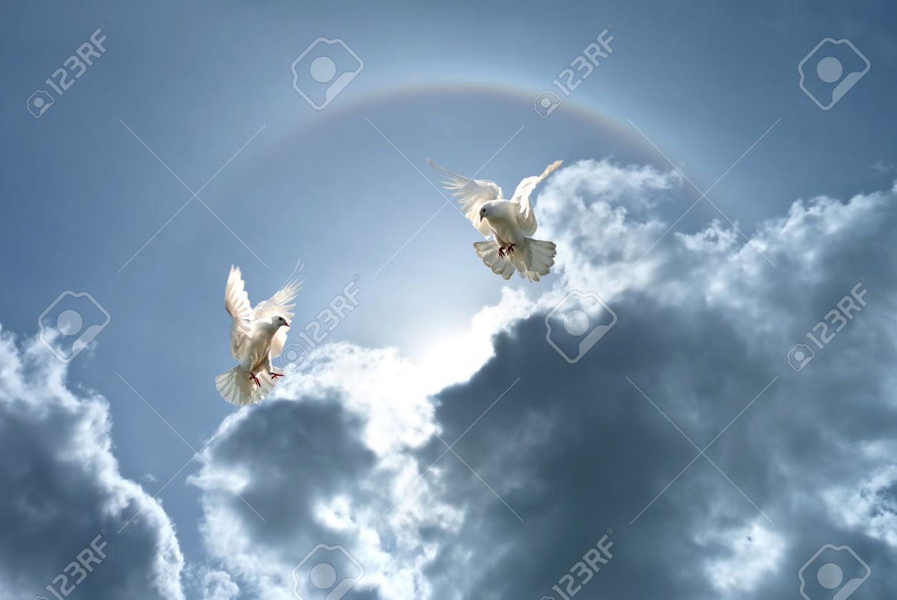 forgiveness stock photos royalty free forgiveness images