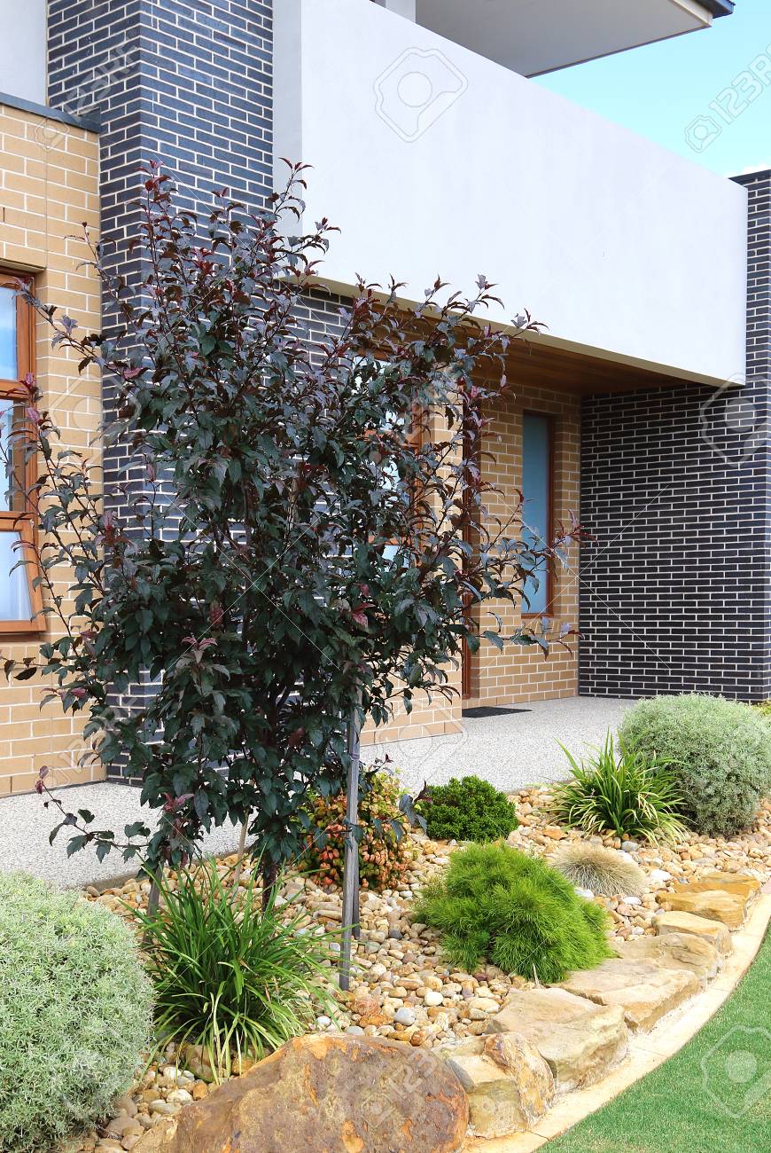 Modern Architecture Exterior Details With Front Yard Low Maintenance Stock Photo Picture And Royalty Free Image Image 70760804