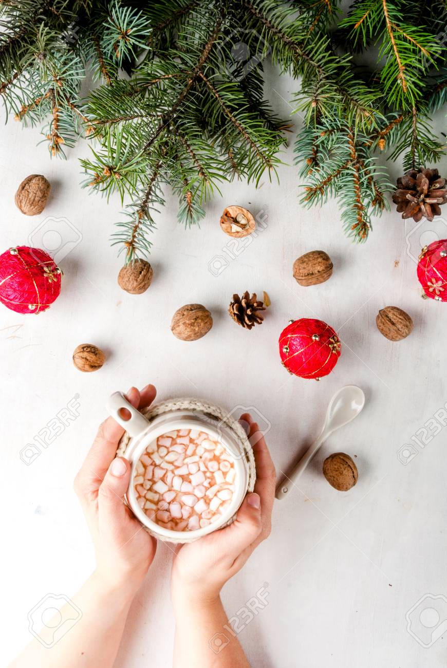 Table Décorée De Branches Darbres De Noël De Cônes De Noix Et De Boules De Noël Dezhit Fille Tenant Une Tasse De Chocolat Chaud Avec Guimauve Les