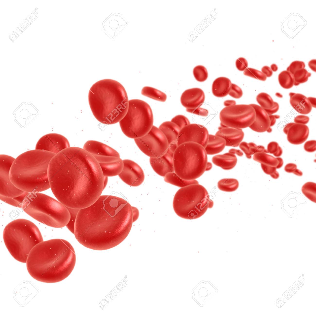 vena o arteria vena o arteria