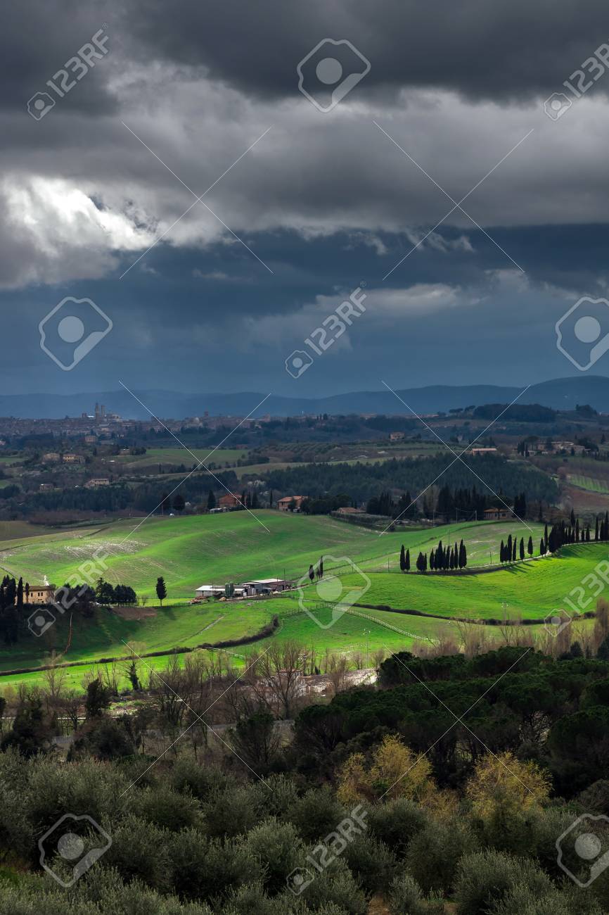 Best Time of Year to Get Married in Tuscany | Local Photographer's Guide |  FunkyBird Photography, image size:866x1300