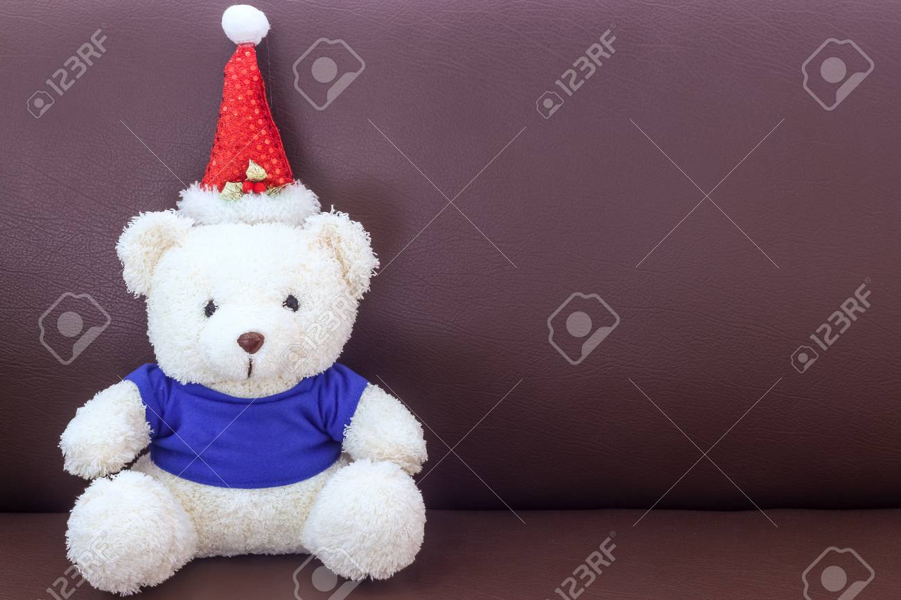 teddy bear with blue shirt