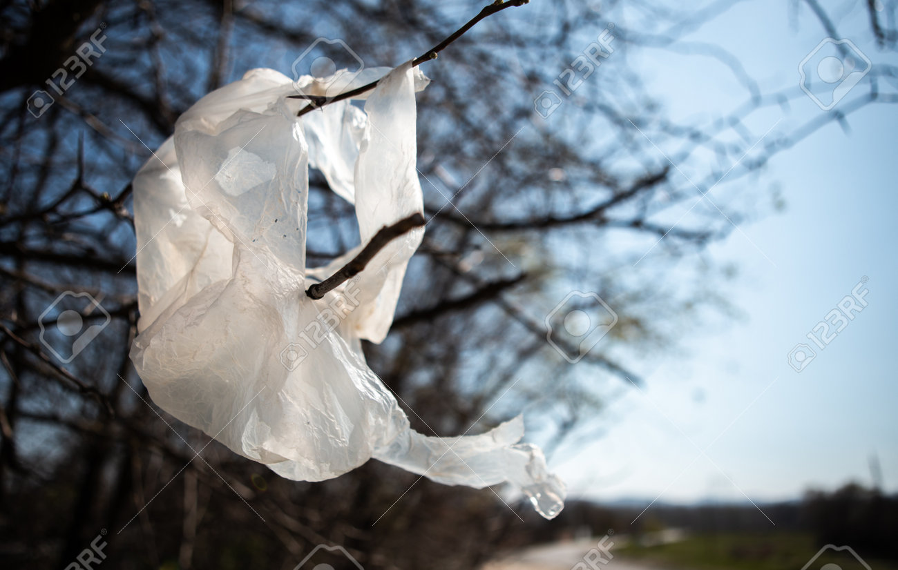 White Plastic Bag Thrown And Hung On A Tree Branch. Someone Threw The Bag  And Polluted The Environment. Behind You Can See The Road Leading To The  Village. Stock Photo, Picture and, image size:1300x826
