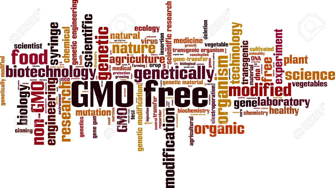 Gmo フリーワード クラウドのコンセプト ベクトル図 のイラスト素材 ベクタ Image 47708575