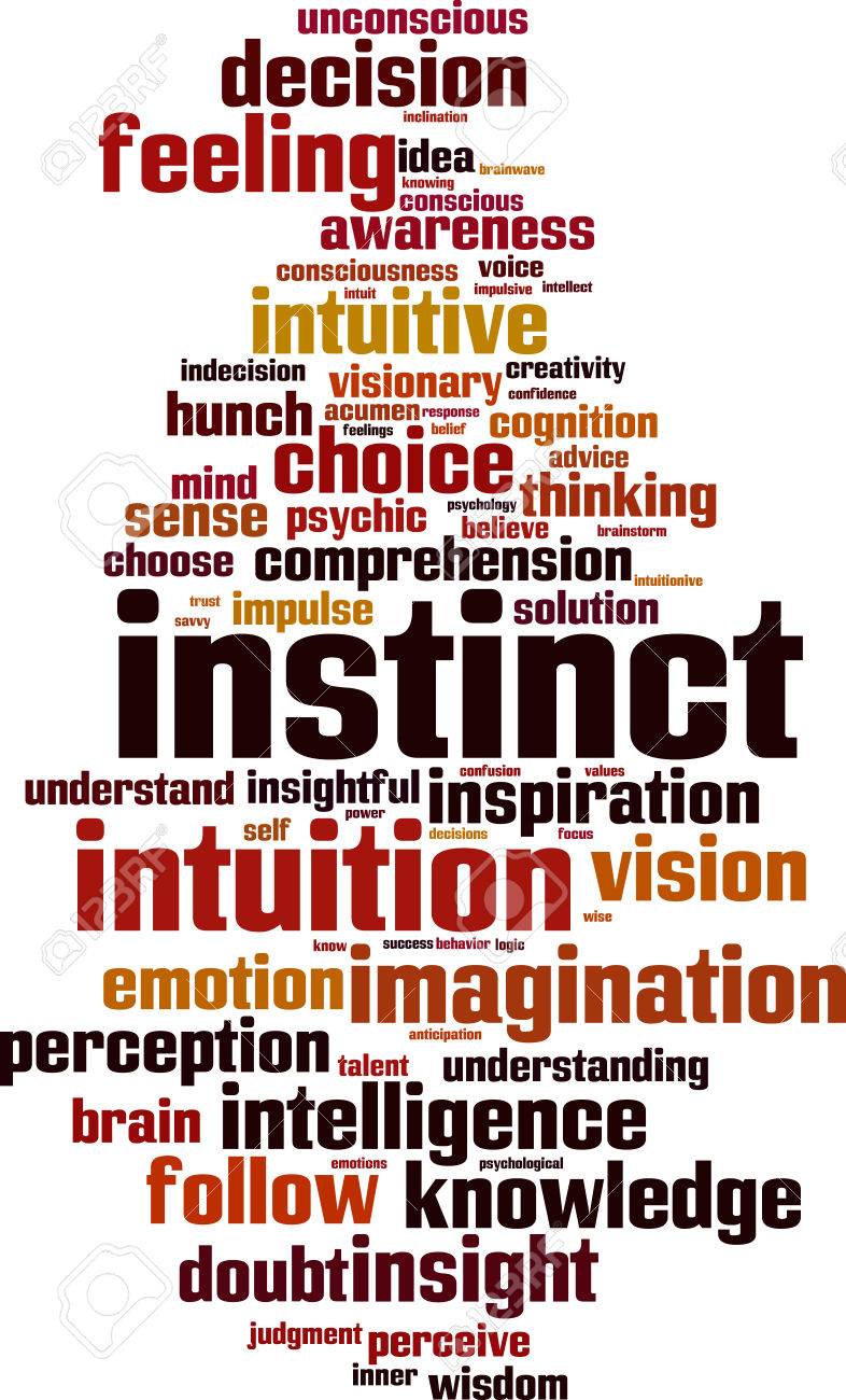 Instinct Word Cloud Concept. Vector Illustration Royalty Free SVG, Cliparts,  Vectors, and Stock Illustration. Image 83656843., image size:786x1300