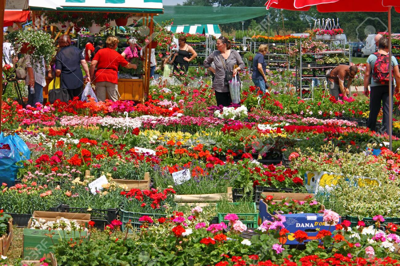 Zagreb Croatia June 4 2011 Exhibition Sale Of Flowers Flora