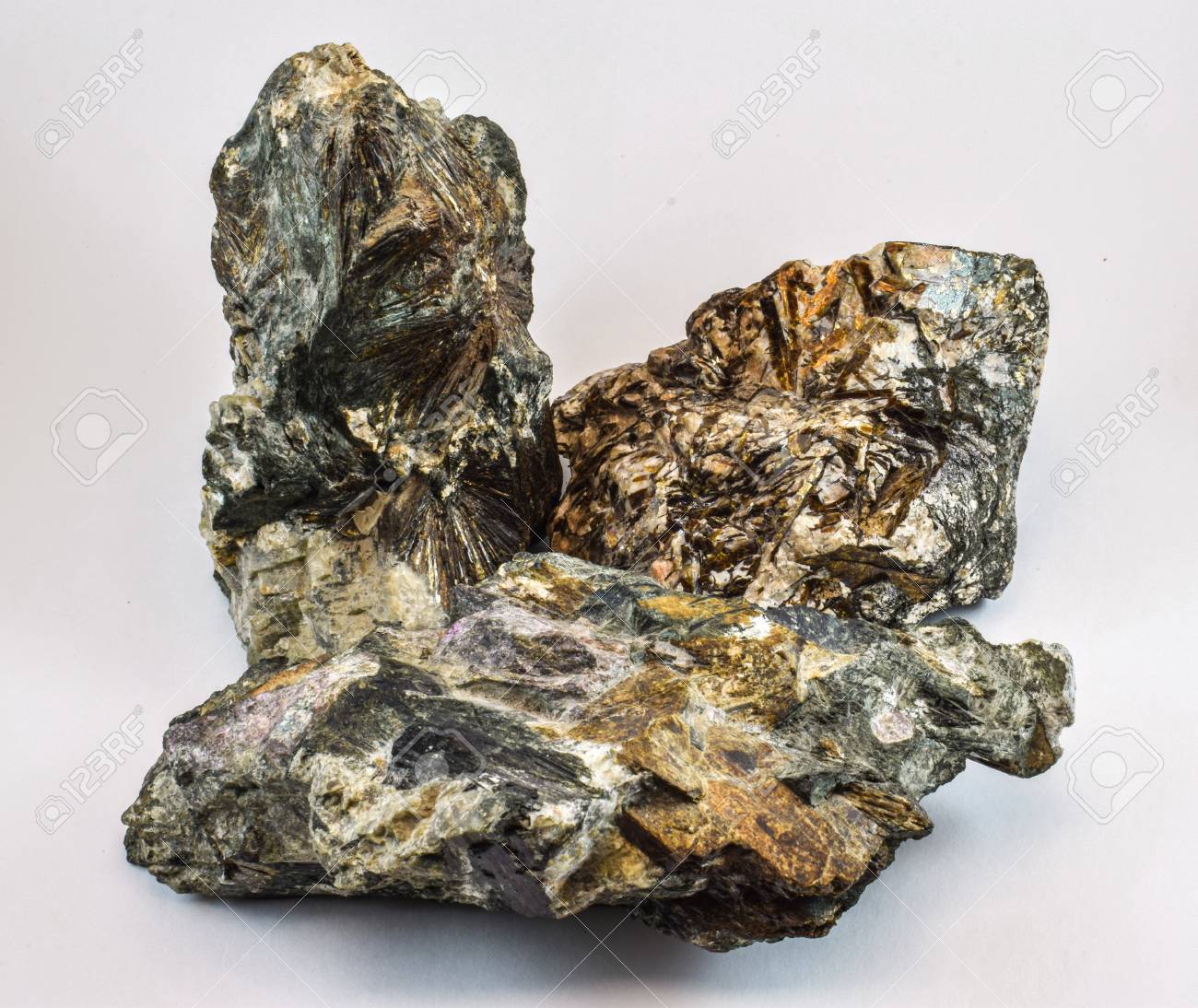 etiam-dictum-ipsum-a-felis