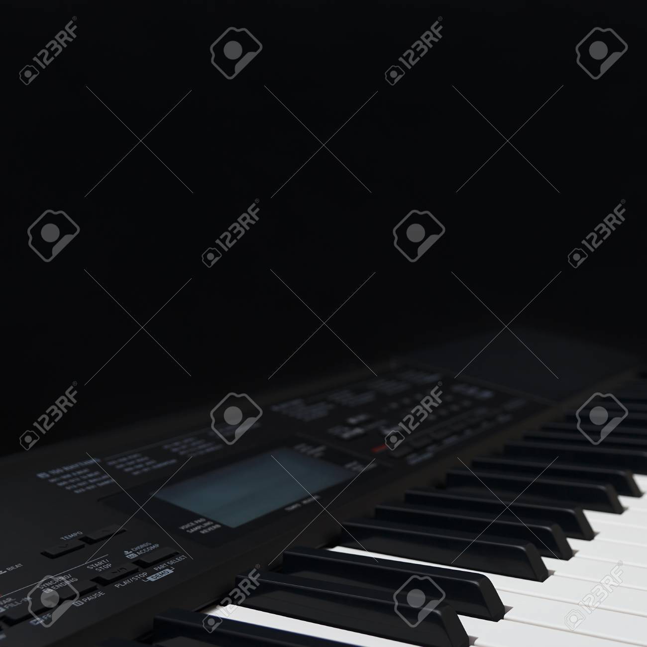 etiam-dictum-ipsum-a-felis