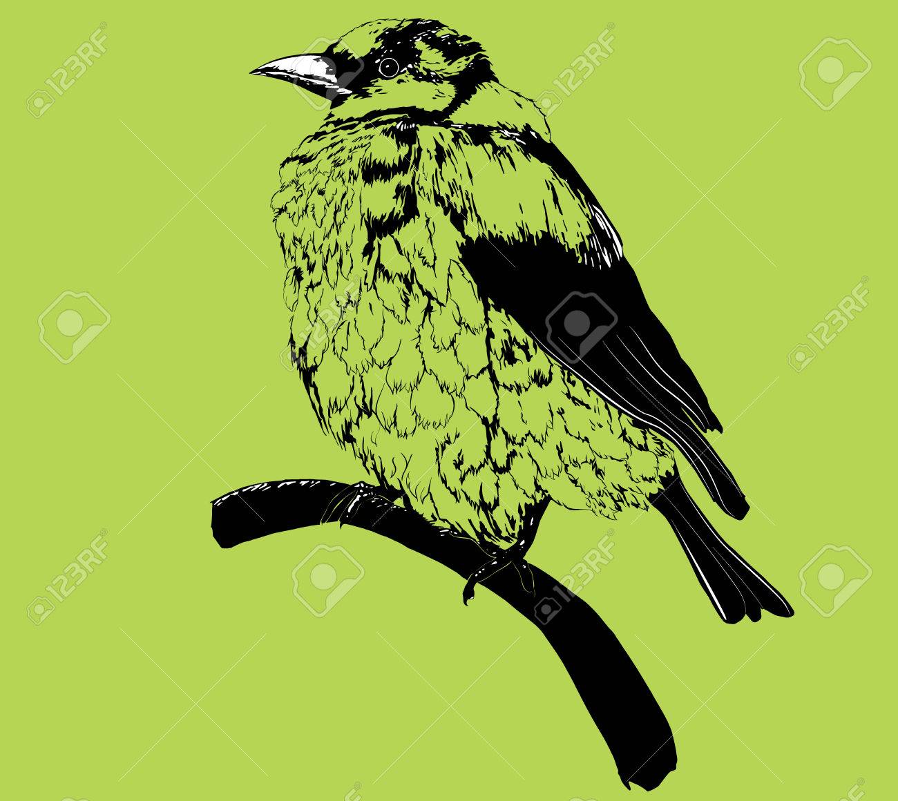 Stylisée Isolé Moineau Noir Esquisse De Petit Oiseau