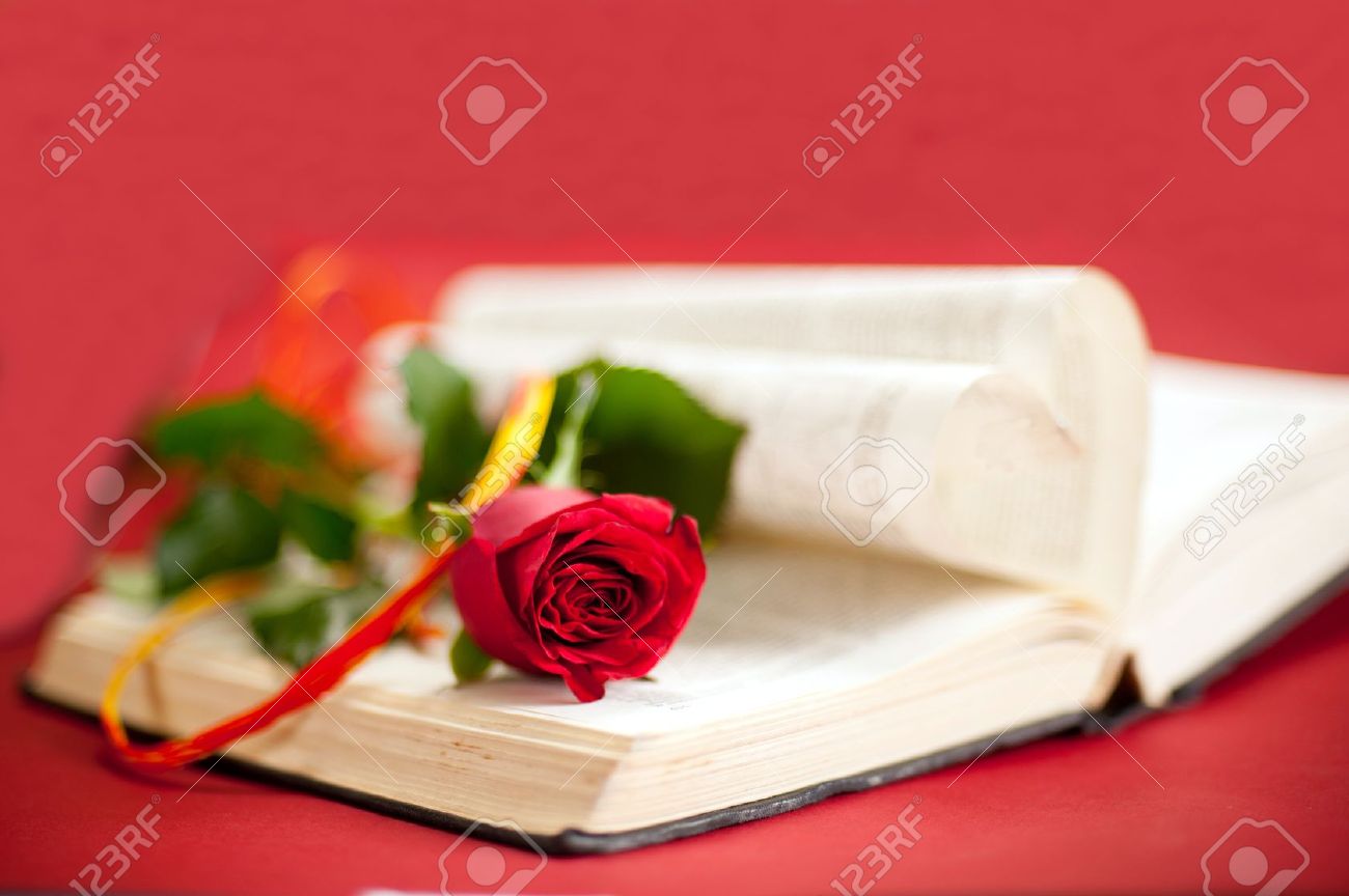 Love story book concept Red rose with hatband at opened book with heart shape pages Red background - 14030356 Love story book concept Red rose with hatband at opened book with heart shape pages Red background - 14030356