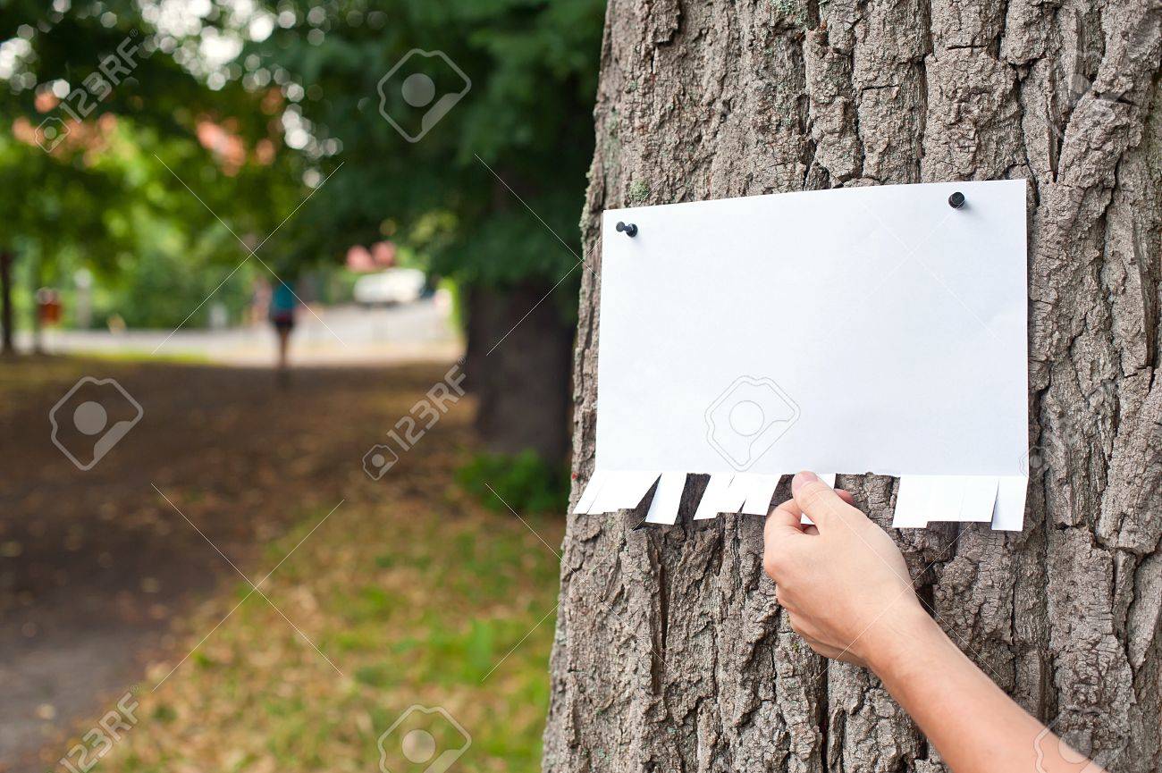Hand picking a part of blank announcement pinned on a tree - 21402564 Hand picking a part of blank announcement pinned on a tree - 21402564
