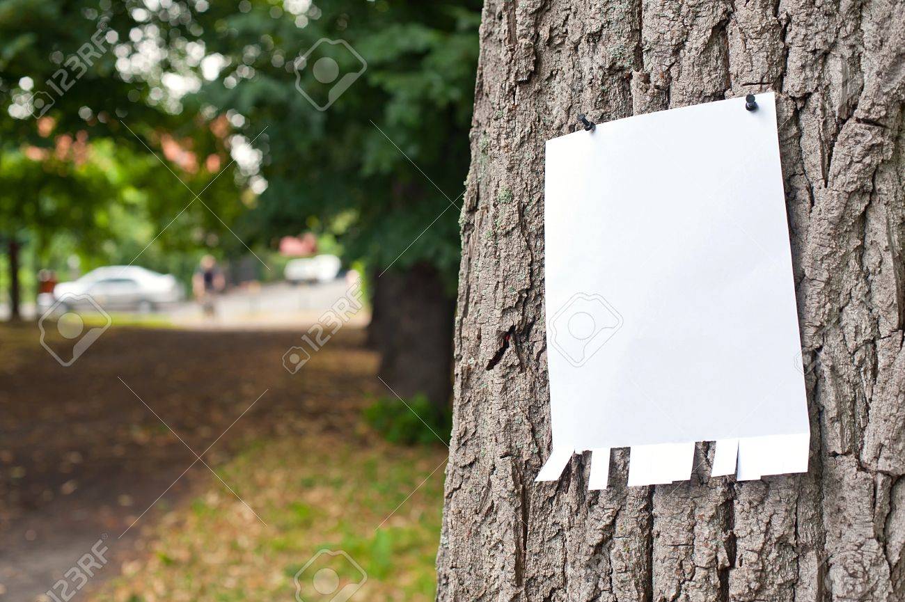 Pinned blank vertical paper label on a tree - 21402565 Pinned blank vertical paper label on a tree - 21402565
