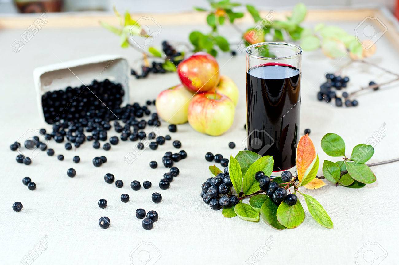 Aronia - Black Choke berry fruits and juice Separated pile of fruit, twig with leaves, and bunch - 22257401 Aronia - Black Choke berry fruits and juice Separated pile of fruit, twig with leaves, and bunch - 22257401
