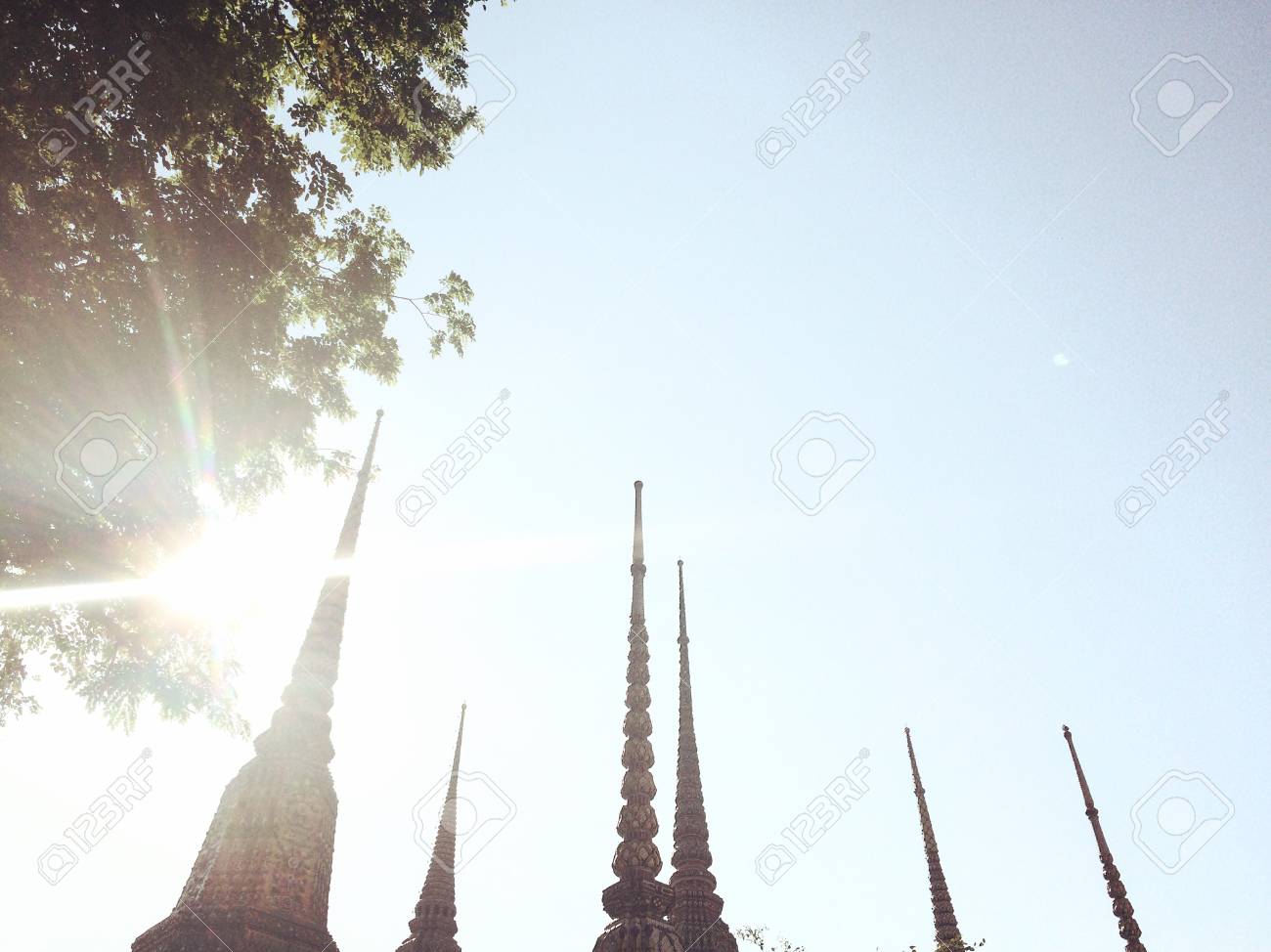 etiam-dictum-ipsum-a-felis