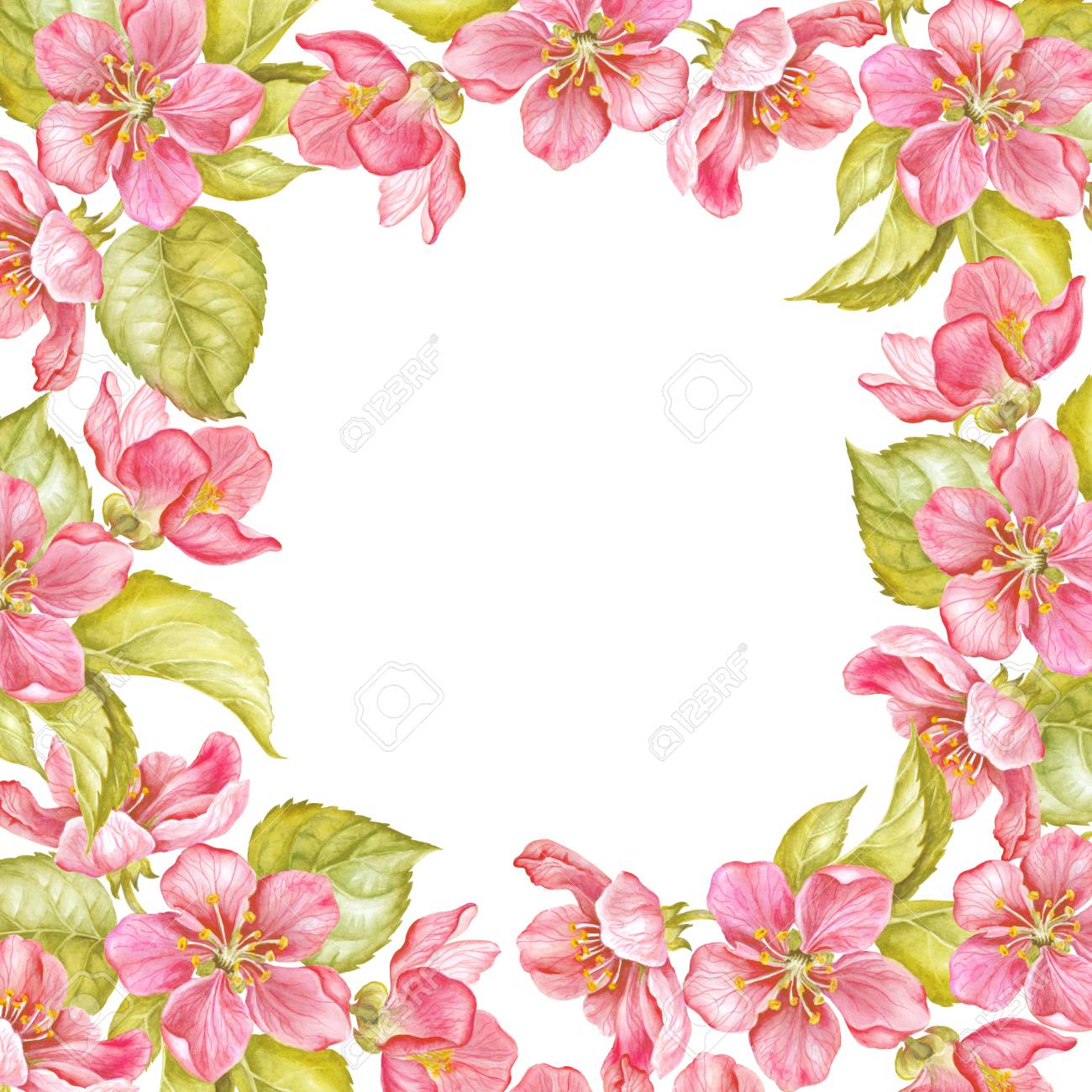 Frame Of Pink Sakura Flowers Invitation Card Template For Wedding Stock Photo Picture And Royalty Free Image Image