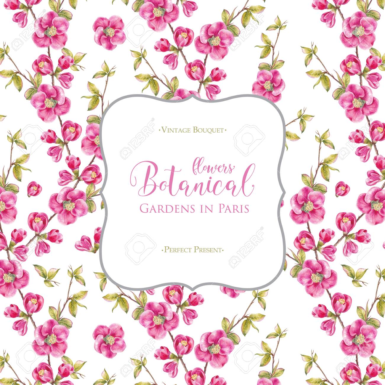 Frame Of Pink Sakura Flowers Invitation Card Template For Wedding Stock Photo Picture And Royalty Free Image Image 79578698