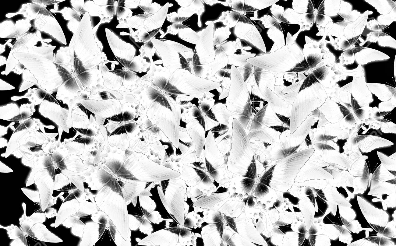 Schwarz Weiss Bild Muster Hintergrund Mit Menge Von Verschiedenen Schmetterlingen Invert Bild Auf Weissem Hintergrund Lizenzfreie Fotos Bilder Und Stock Fotografie Image 44238166