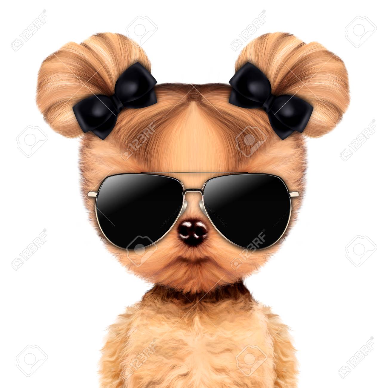 cute aviator sunglasses