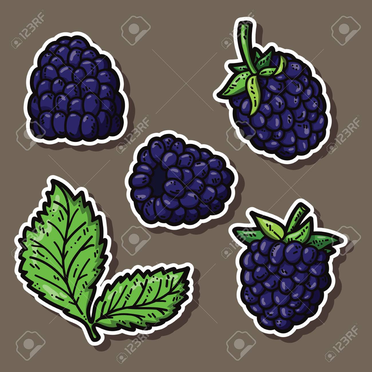 かわいいブラックベリー かわいい手描きのブラックベリーのベクトル ステッカー セット のイラスト素材 ベクタ Image