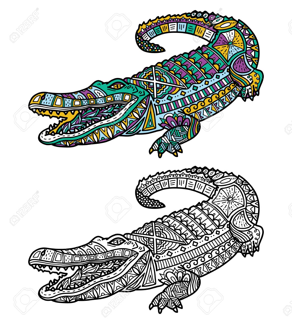 Crocodile Mignon Vector Illustration De Crocodile Ornee Mignon Pour Enfants Ou Pour Adultes Anti Stress Livre De Coloriage Clip Art Libres De Droits Vecteurs Et Illustration Image 49159799